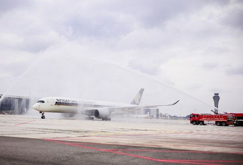 新加坡航空首航成都天府機(jī)場(chǎng)，開(kāi)啟中新航空運(yùn)輸新篇章